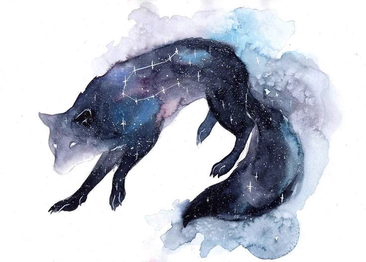 Astra / Divine Fox ☆⋆｡𖦹°‧★ thumbnail