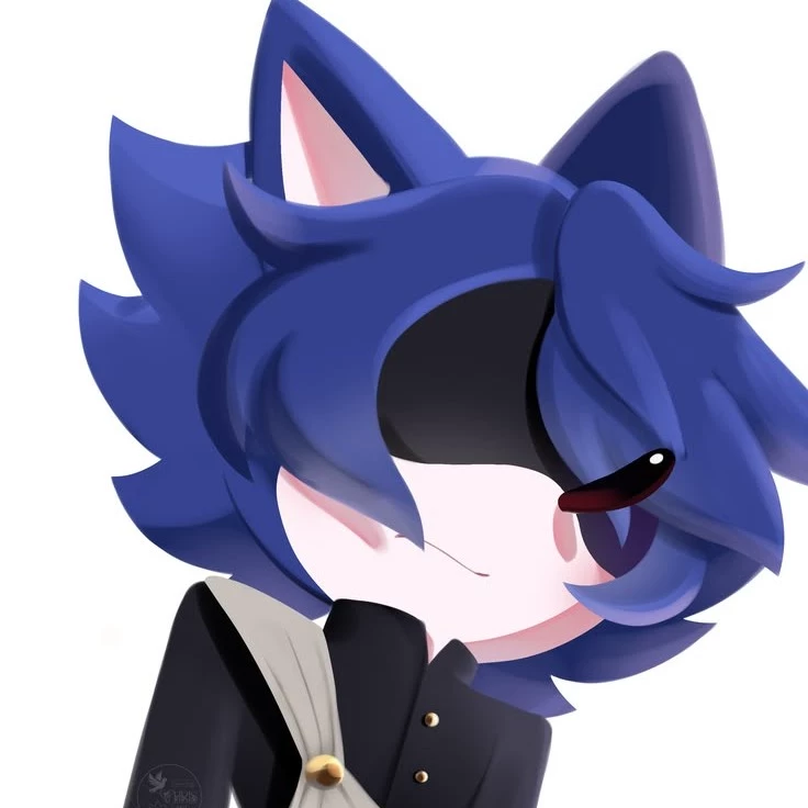 soniko the hedgehog