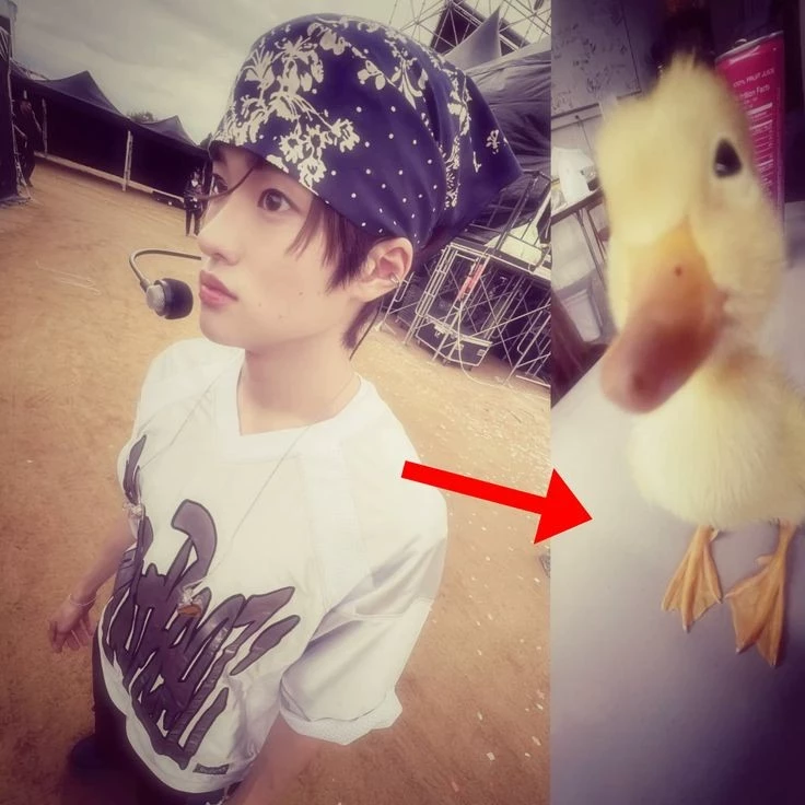   🐿️ 𝓝ick ᡣ𐭩 𝓢ohee 👑