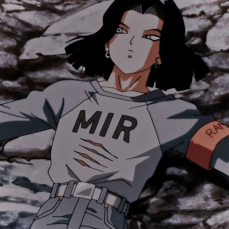 android 17 thumbnail