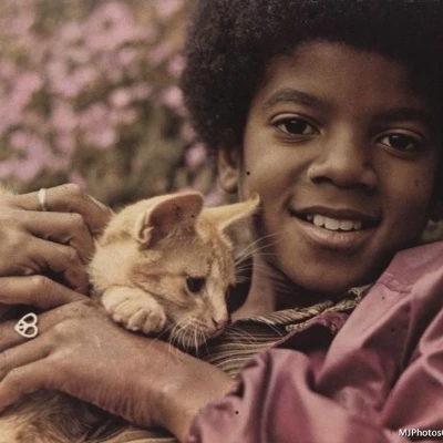 Michael Jackson—J5 Era thumbnail