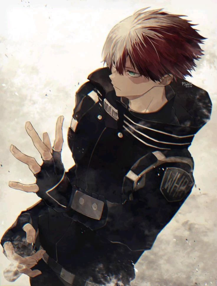 Shoto Todoroki thumbnail