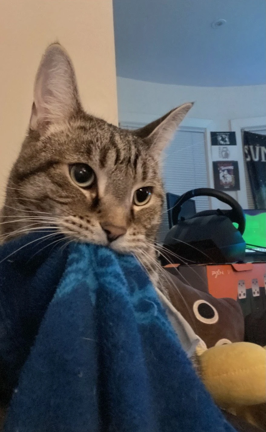 Leah thumbnail