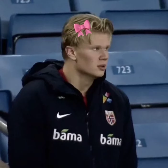 Erling Haaland thumbnail