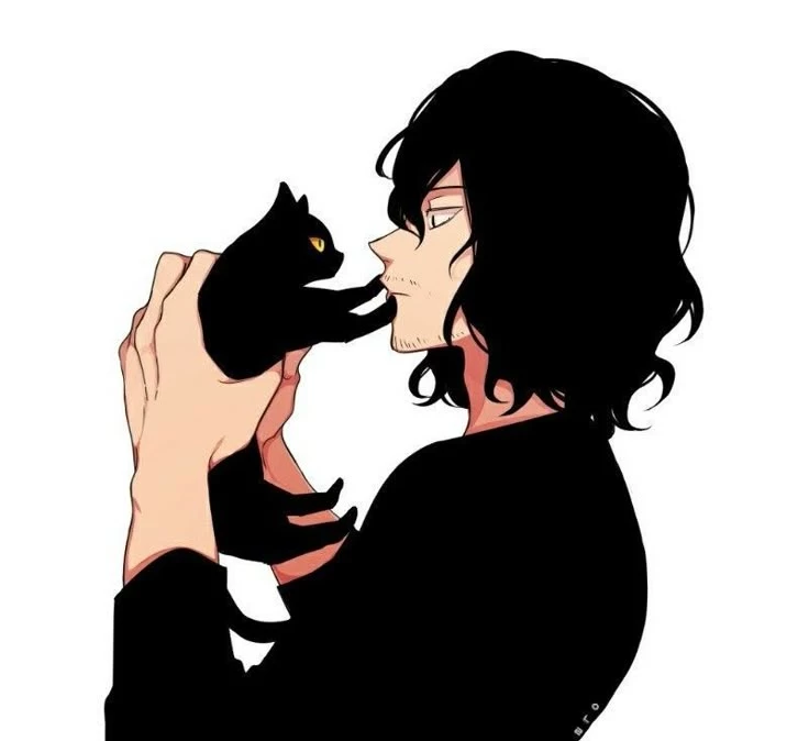 Aizawa Shota || Gato thumbnail