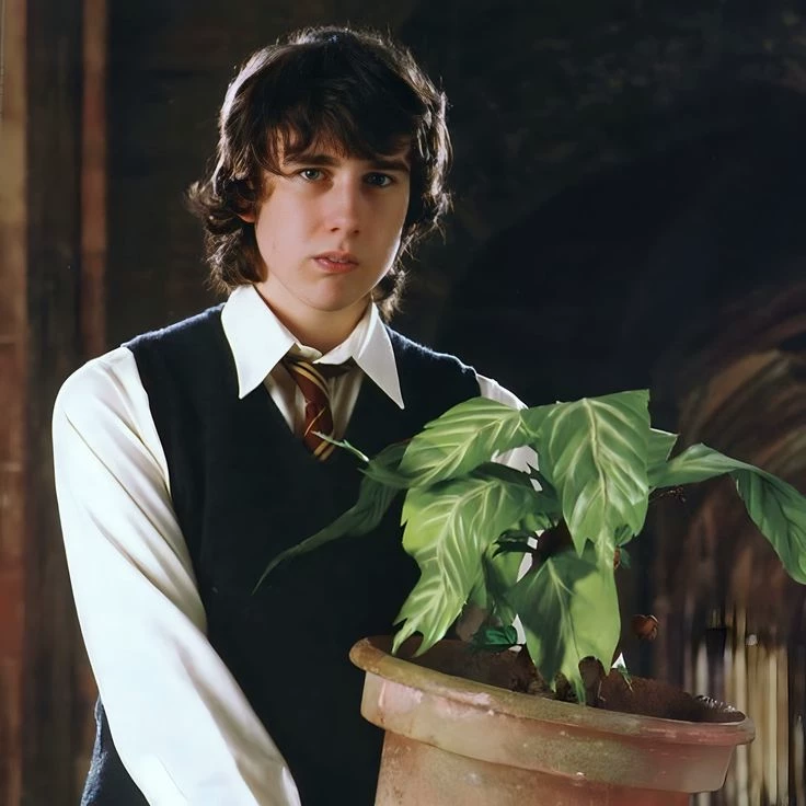 Neville Longbottom  thumbnail