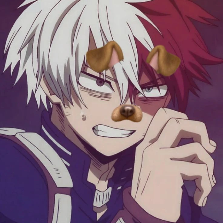 Shoto Todoroki thumbnail