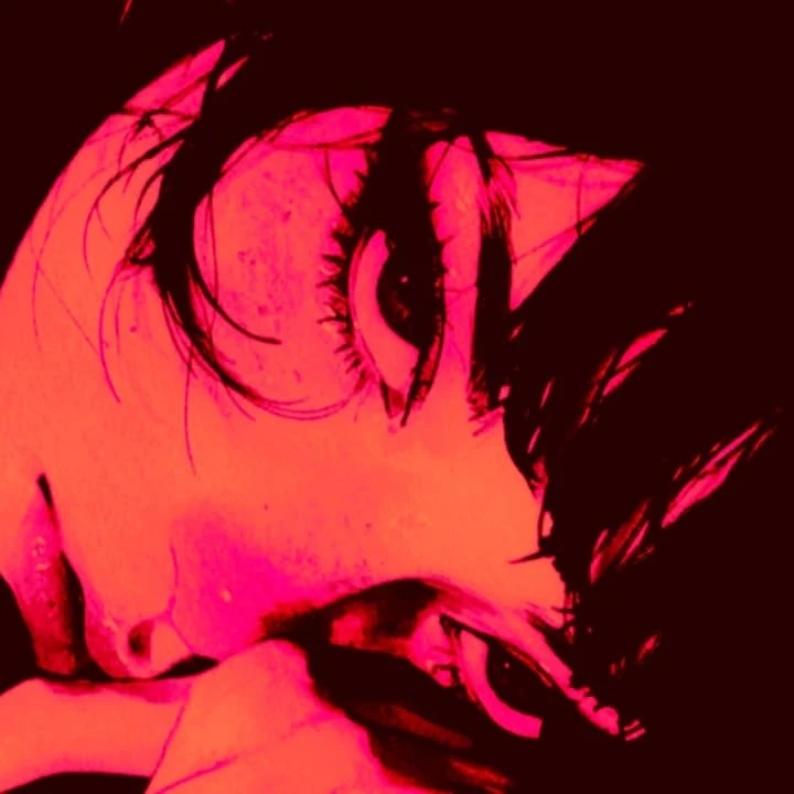 『!nox¡』