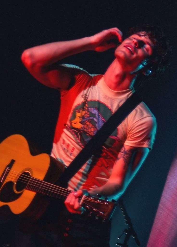 Shawn mendes  thumbnail