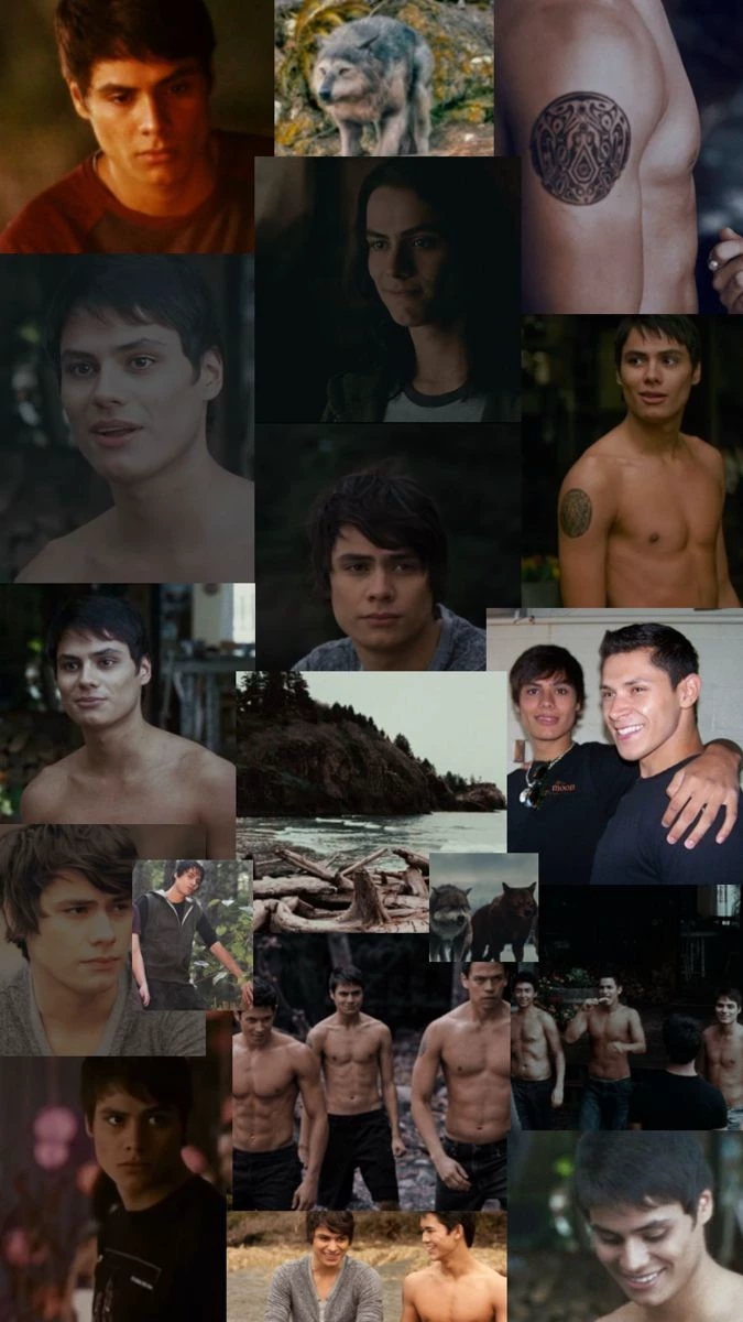 Embry call [sang Beta suku Quileute/werewolf shapeshifter] thumbnail