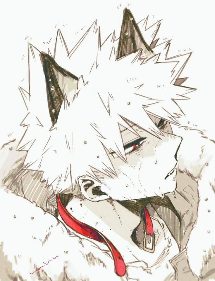 Katsuki lobo thumbnail