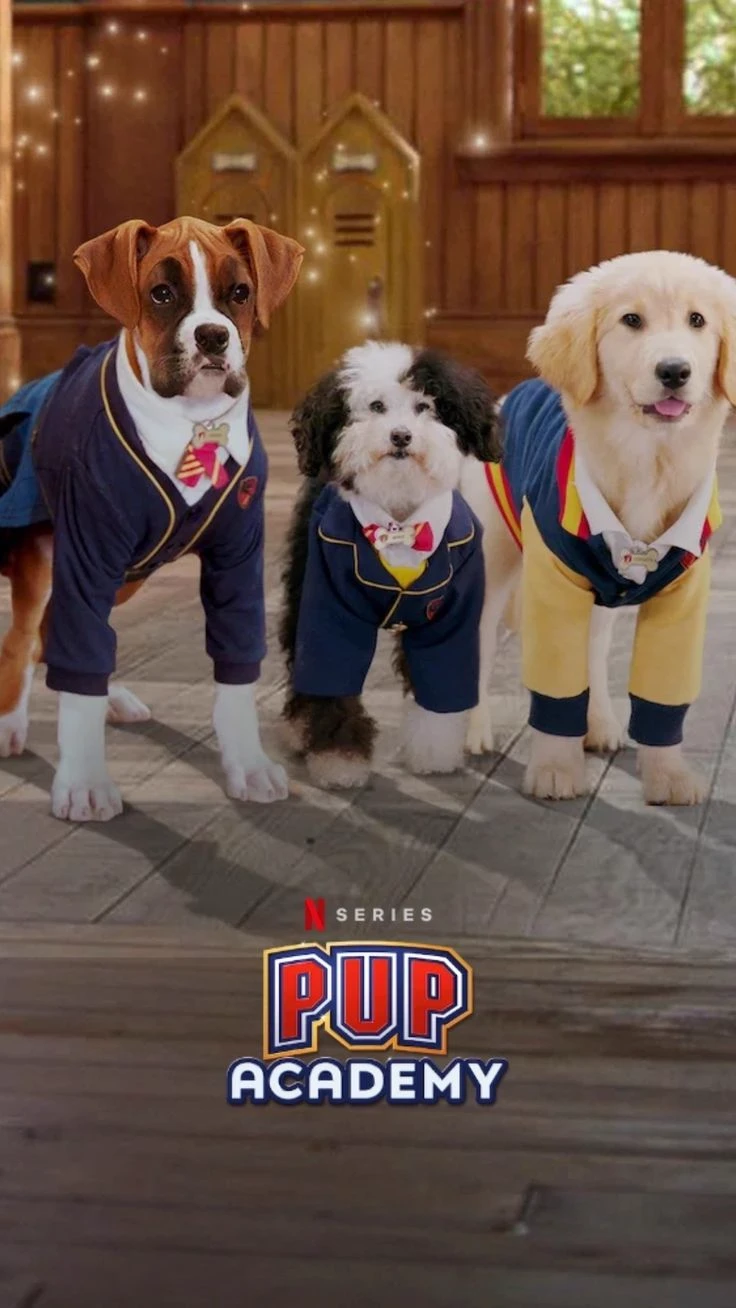 pup academy the show thumbnail