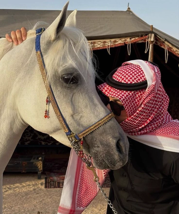 Khalid bin Ali thumbnail