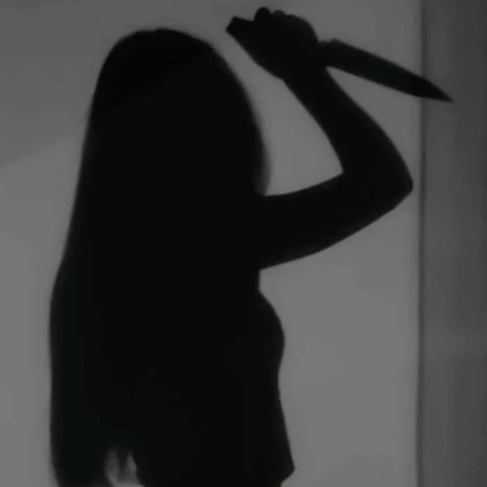 𝚅𝚎𝚎