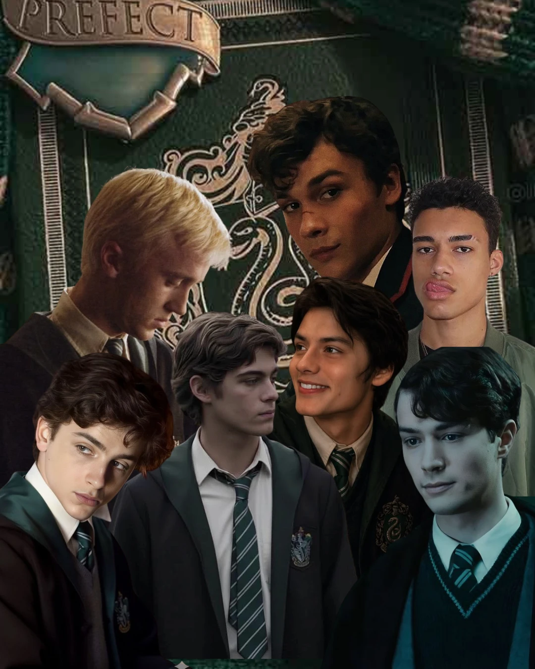 Slytherin boys 🐍📱 thumbnail