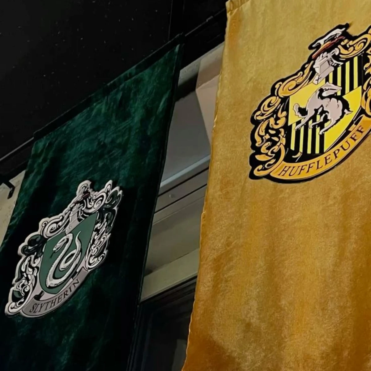 Slytherins X Hufflepuff \| 🦨🐍 thumbnail