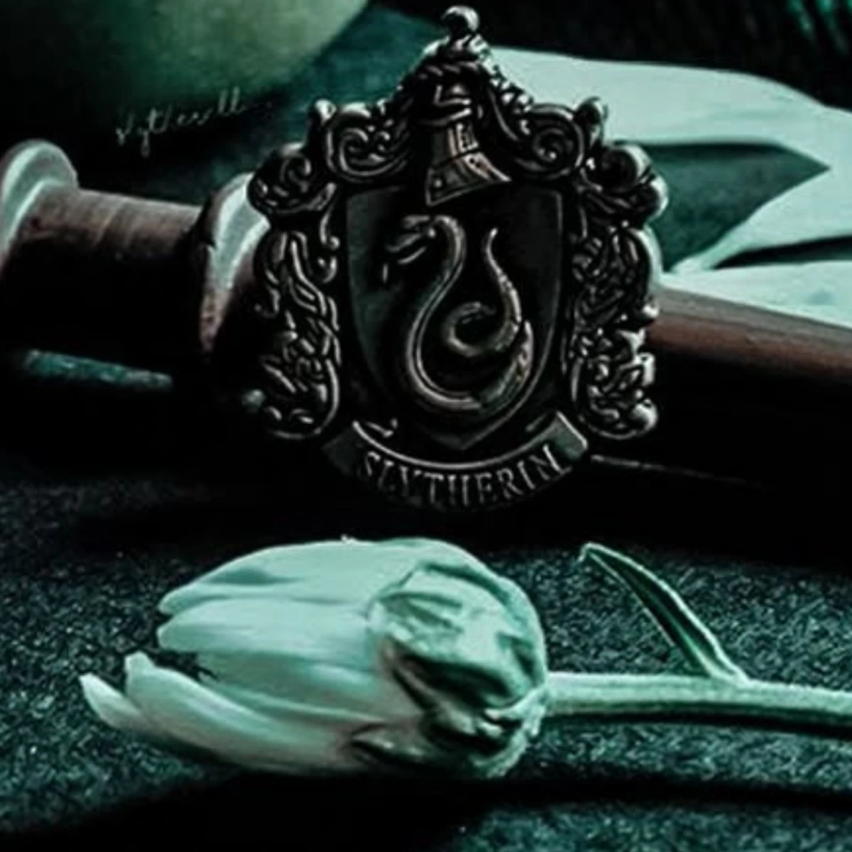 Slytherin Brothers\| 🐍✨ thumbnail