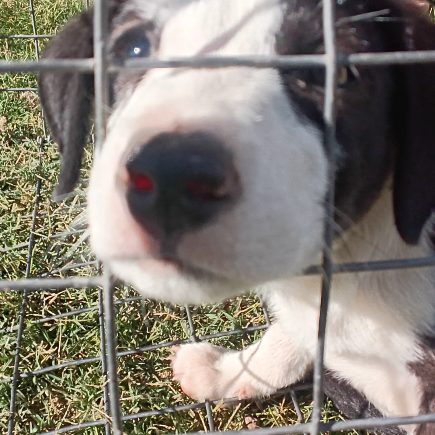 LORETTA♡☆
