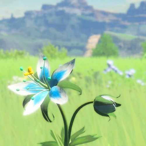 Zelda BOTW/TOTK/AOC thumbnail