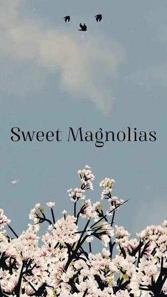 Sweet Magnolias (Netflix show) thumbnail