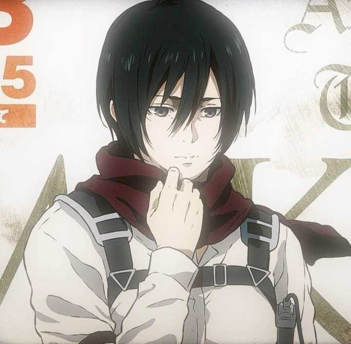 Mikasa Ackerman WLW/GL thumbnail