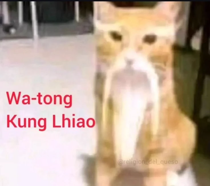 Chinese cat thumbnail