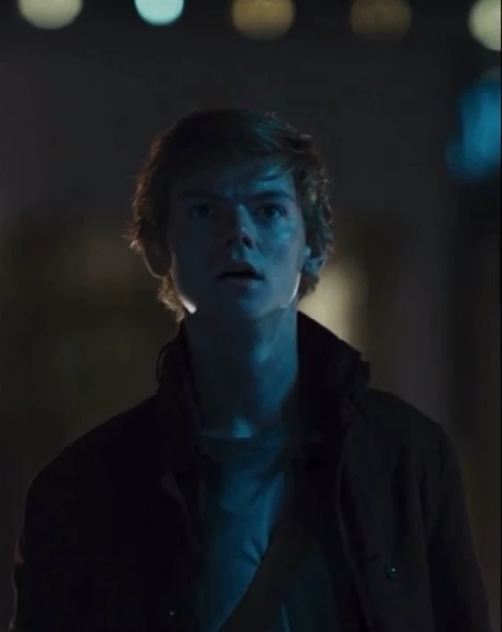 Newt \|\| TDC thumbnail