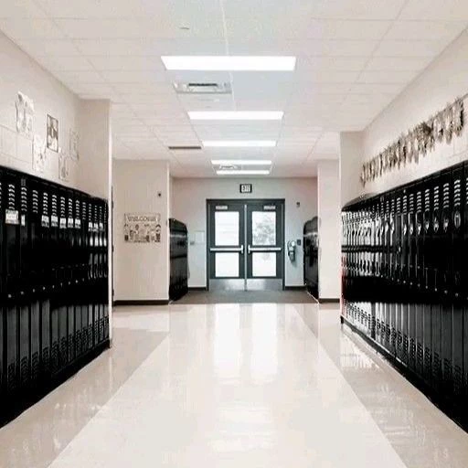 New York School! thumbnail