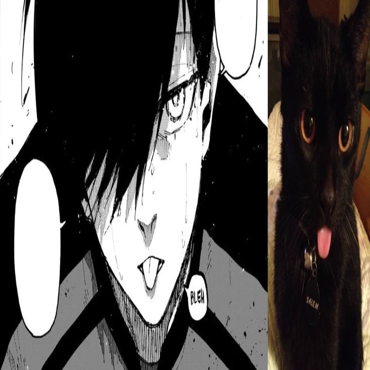 Rin Itoshi thumbnail