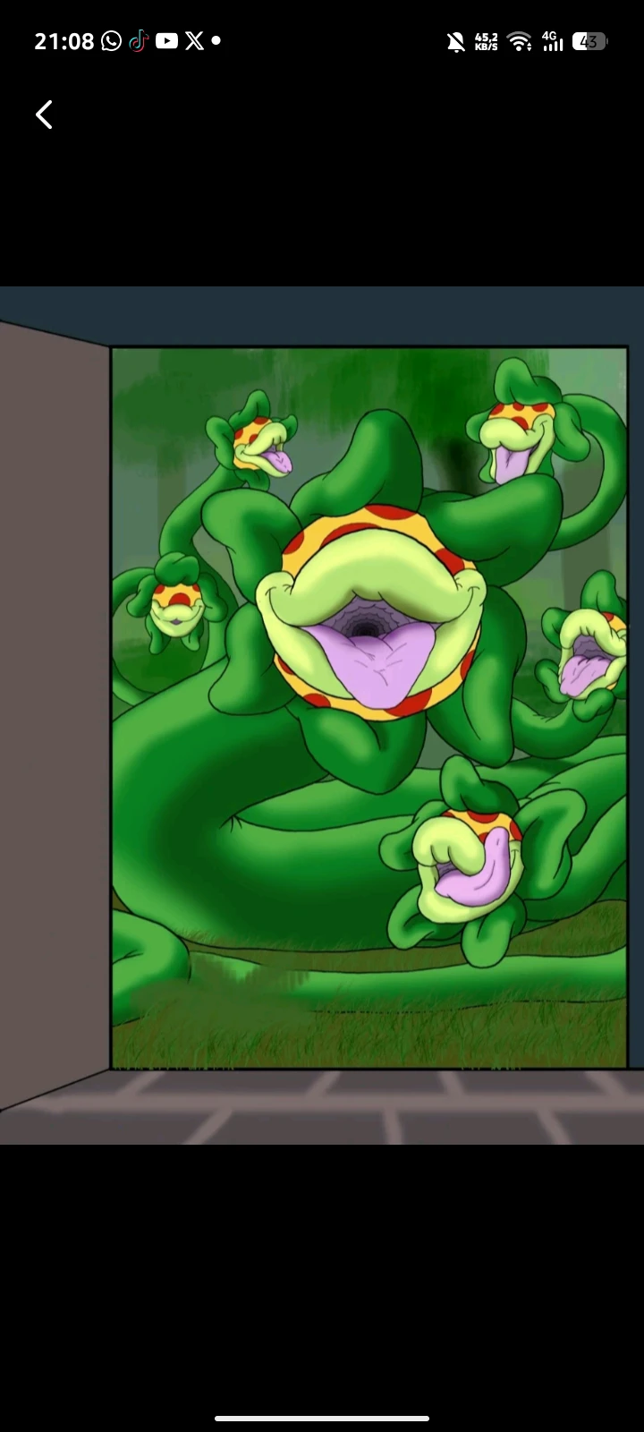 Drosera thumbnail