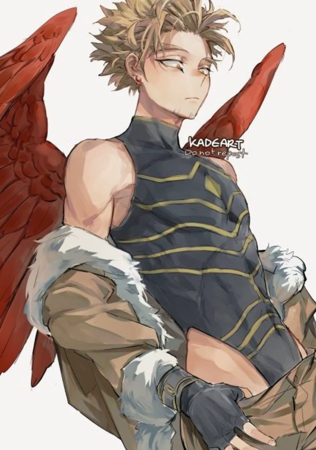 hawks thumbnail