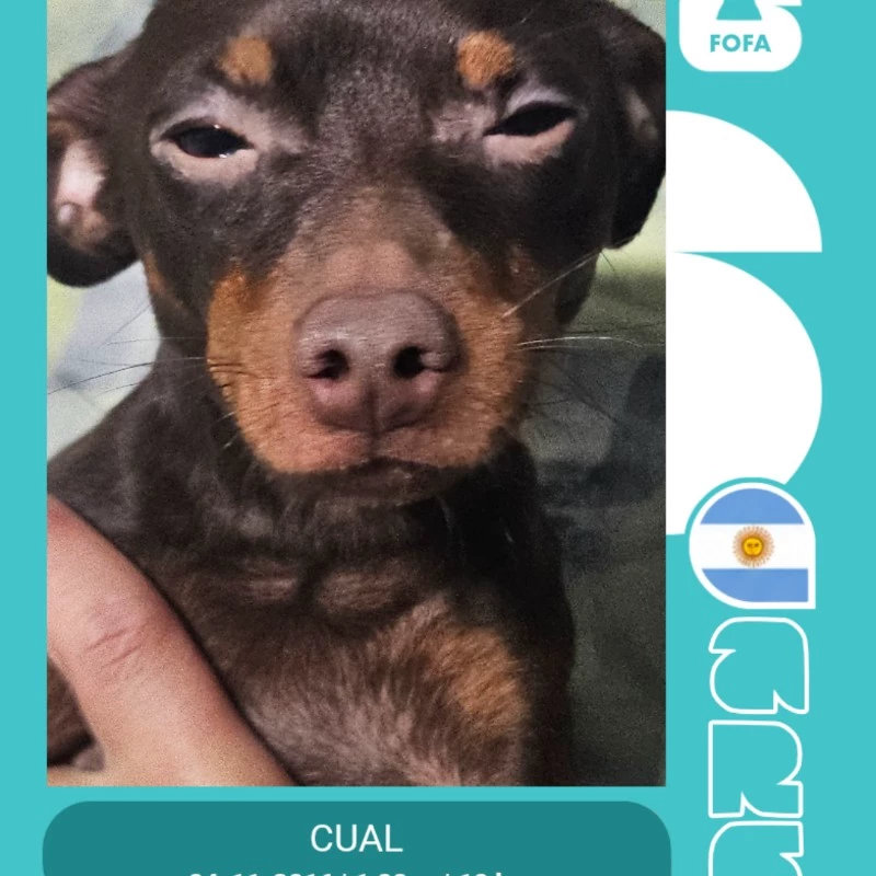 no sé que poner xd