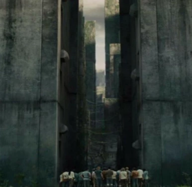 The Maze Runner thumbnail