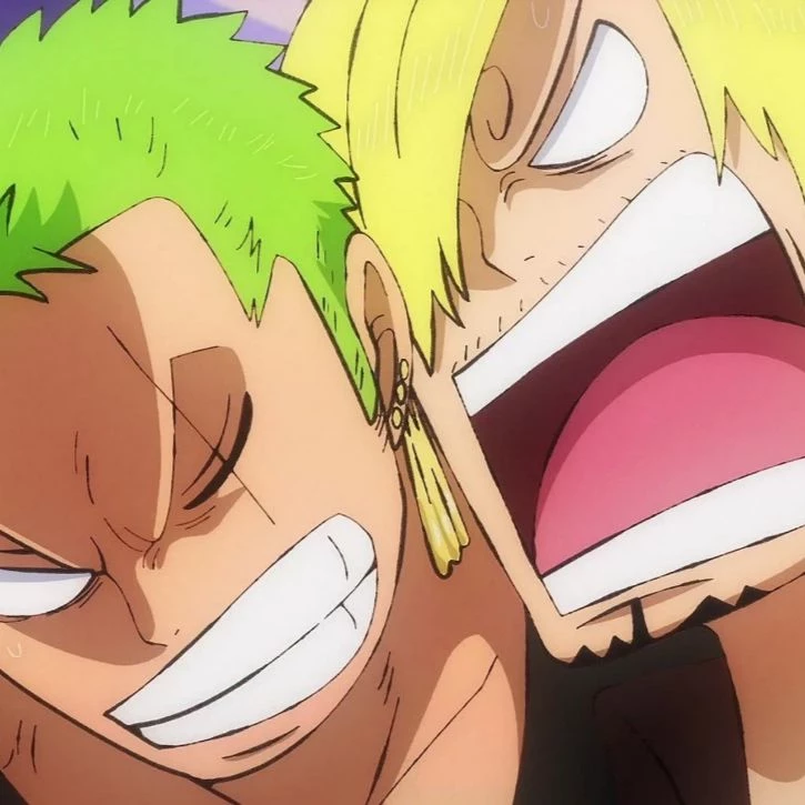Vinsmoke Sanji e Roronoa Zoro thumbnail