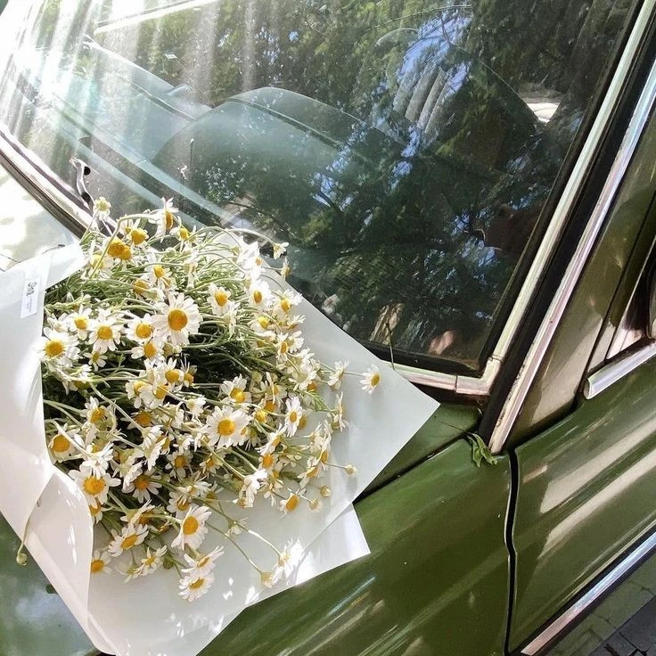 Lallie_lover