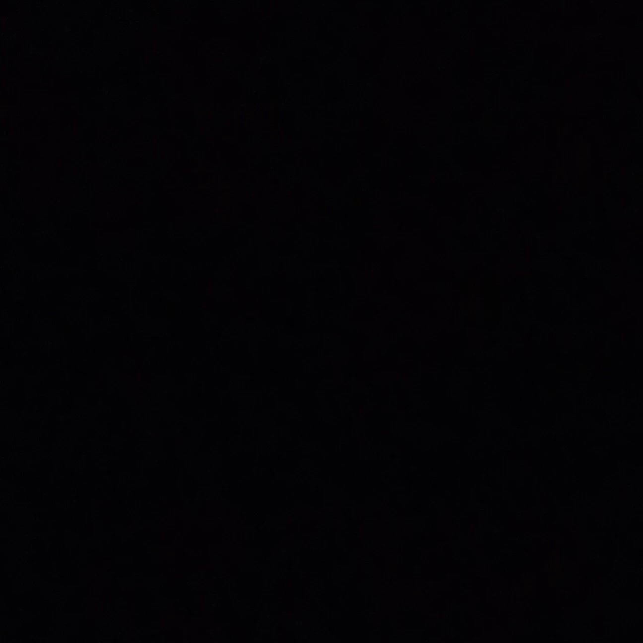 عمرو هاشم ربيع 
