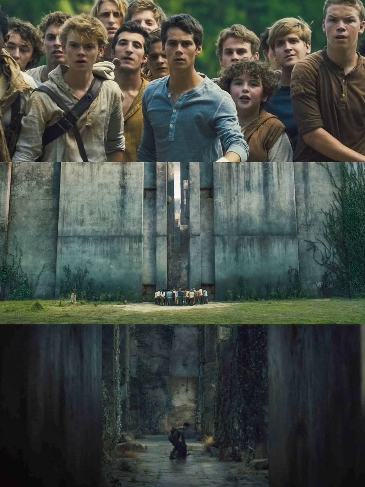MAZE RUNNER: run or die thumbnail