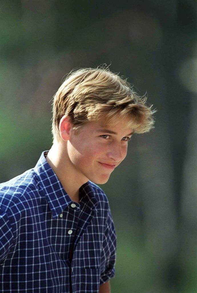 Principe William thumbnail