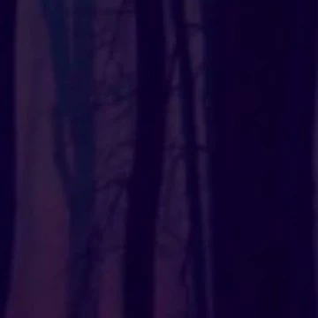 Sbsbshshsbsidhxnsosizxhsizuxusbsndhdh