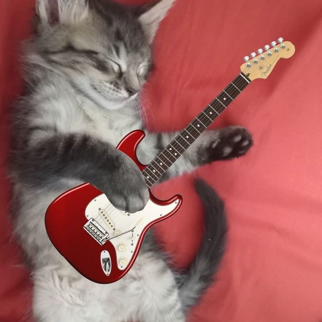 Kitty