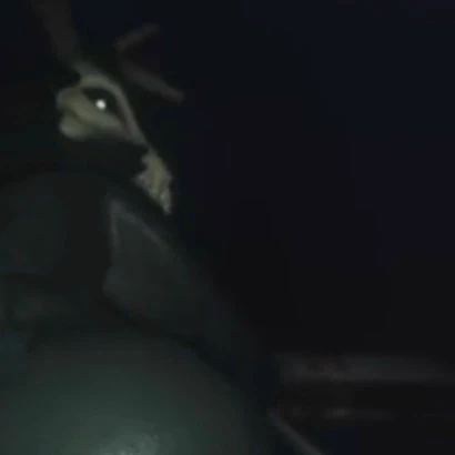 Wendigo [Female] thumbnail