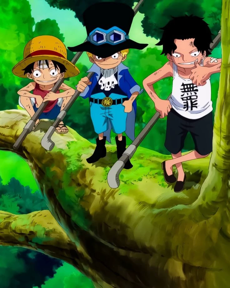 Sabo, Ace, and Luffy thumbnail