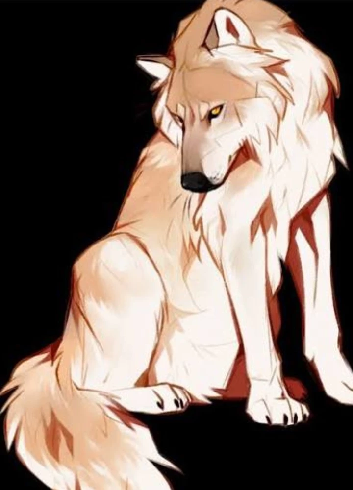 Gray — Your Pet Wolf thumbnail