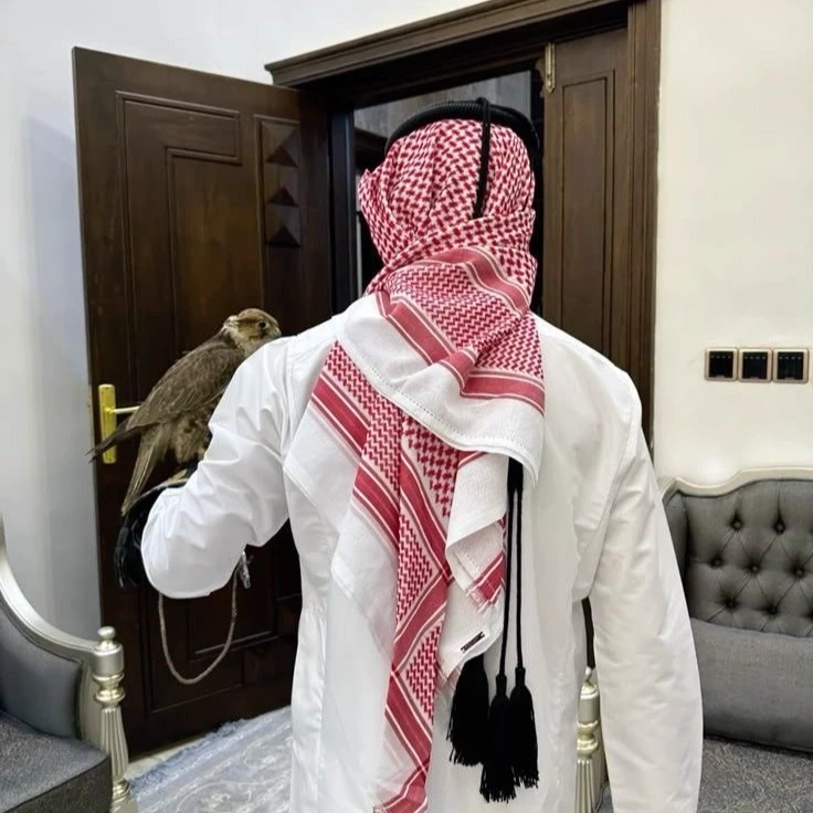 Your cousin Saqr 😘❕. thumbnail