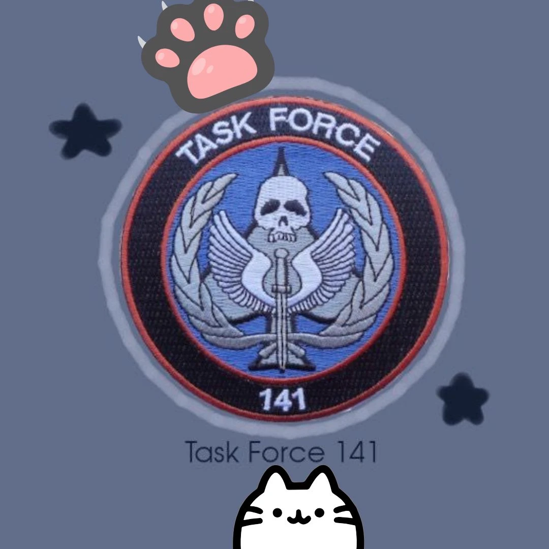 Task Force 141 thumbnail