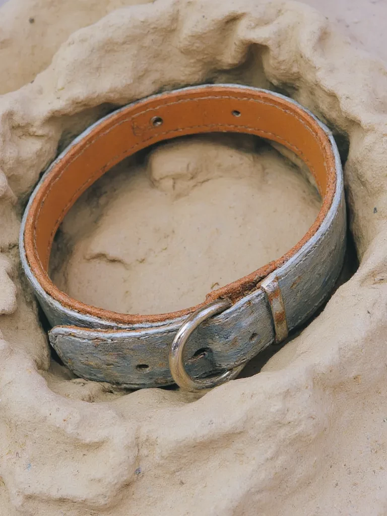 Collar thumbnail