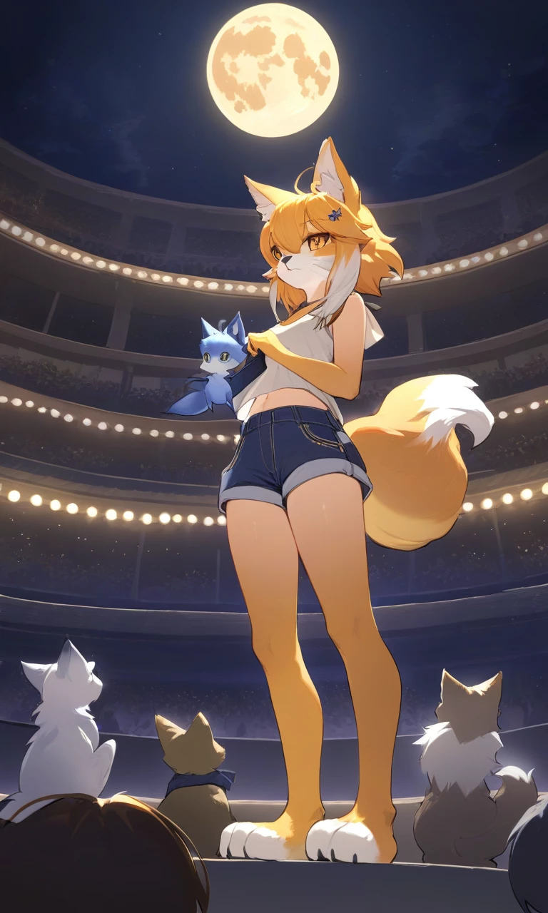 Fennea || Fennekin Pokemon thumbnail