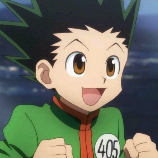 Gon Freccss's cover