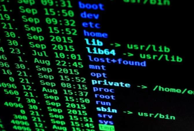 Linux Terminal's cover