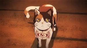 Life from a 猫's eye view.'s cover